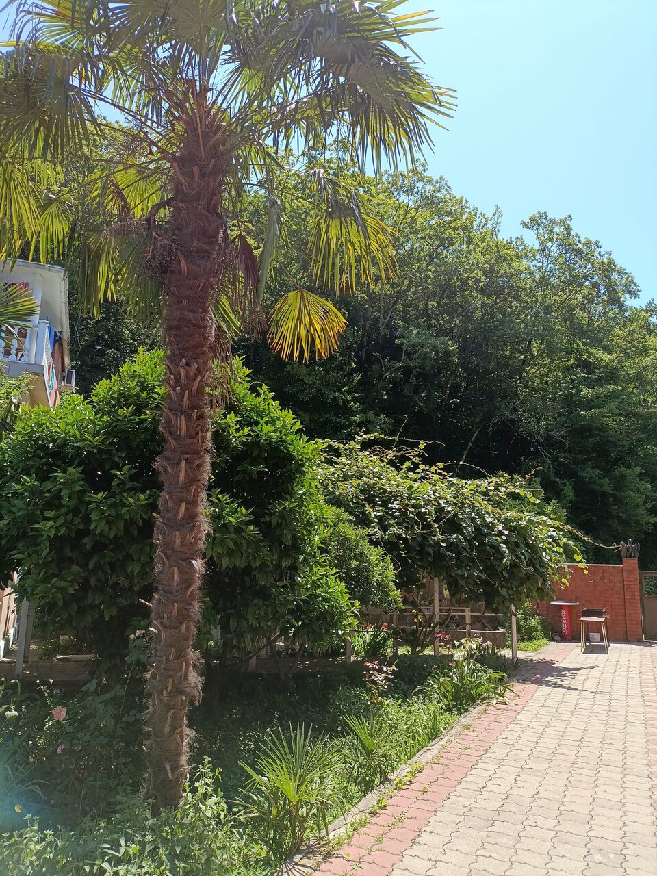 Гостиница Ношен Лазаревское-185