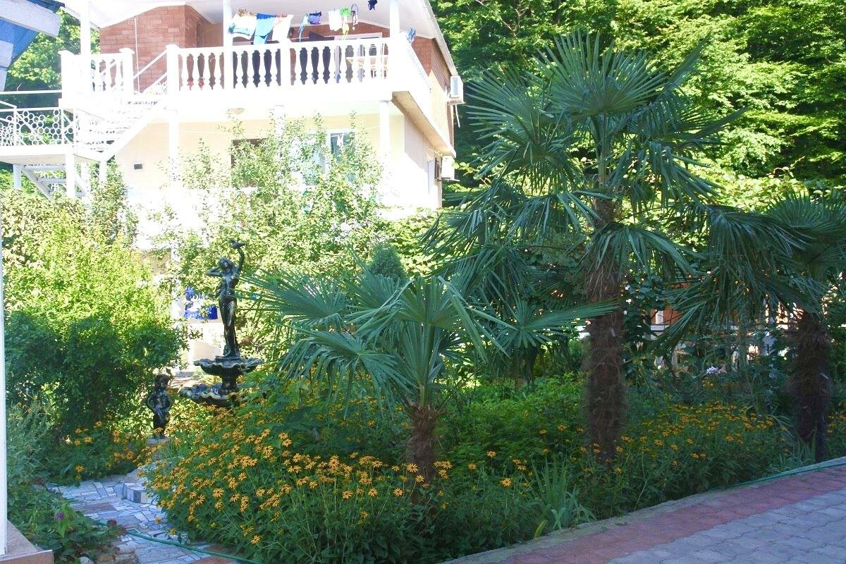 Гостиница Ношен Лазаревское-38