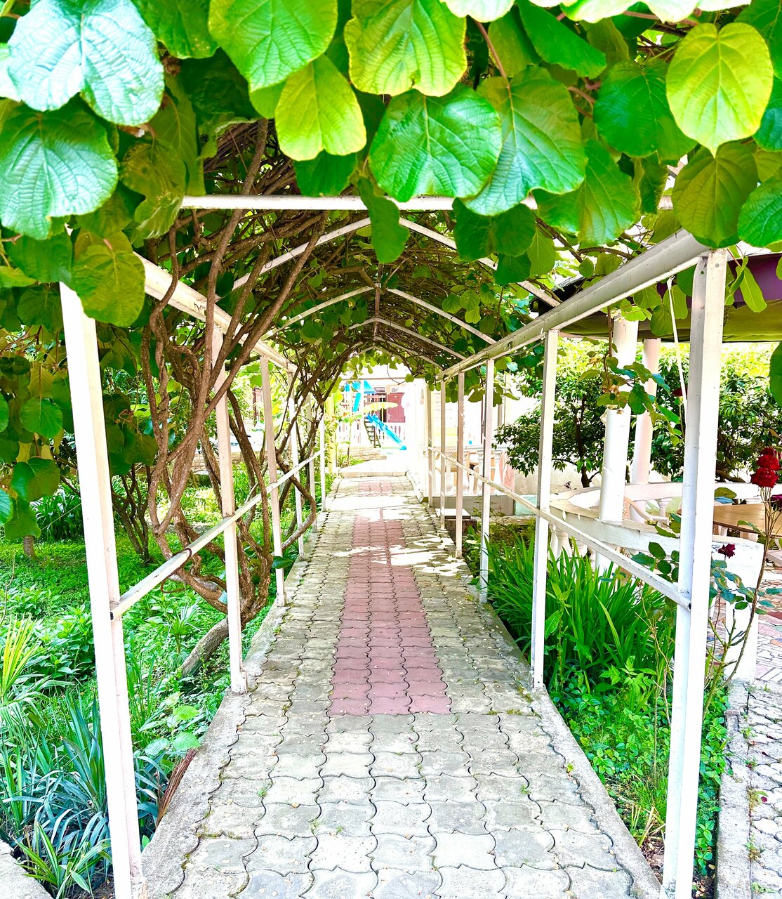 Гостиница Ношен Лазаревское-8