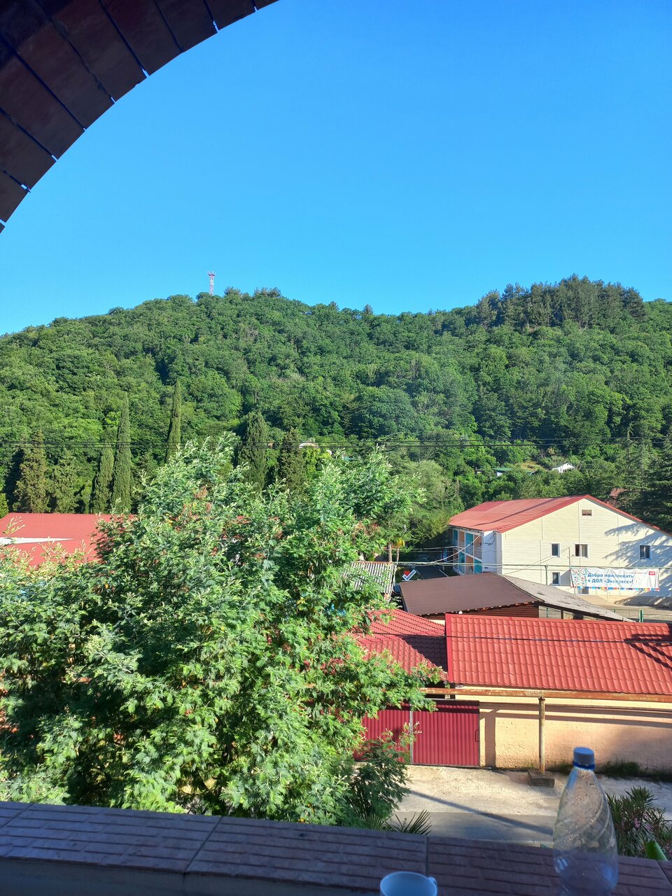 Гостиница Ношен Лазаревское-178