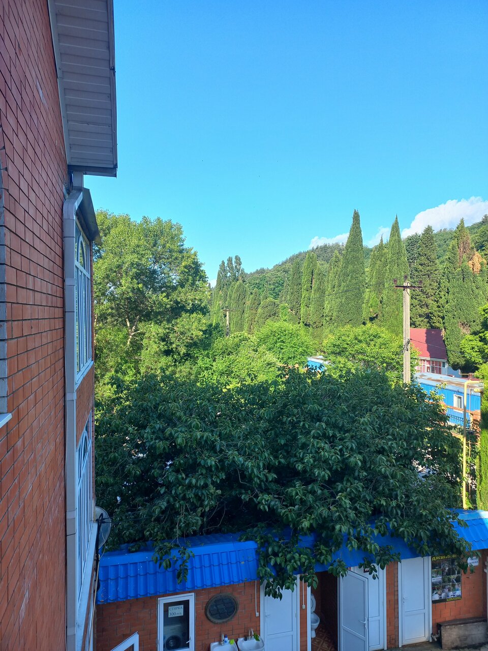 Гостиница Ношен Лазаревское-192