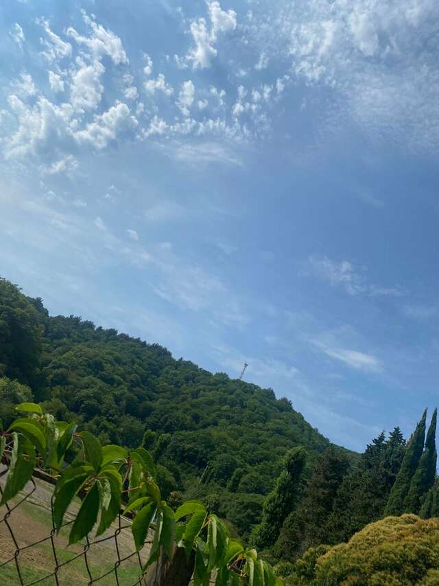 Гостиница Ношен Лазаревское-168