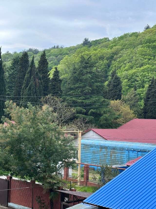 Гостиница Ношен Лазаревское-56