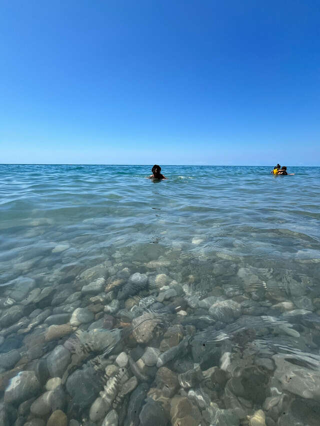 Гостиница Ношен Лазаревское-155