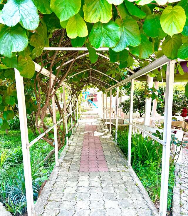 Гостиница Ношен Лазаревское-7