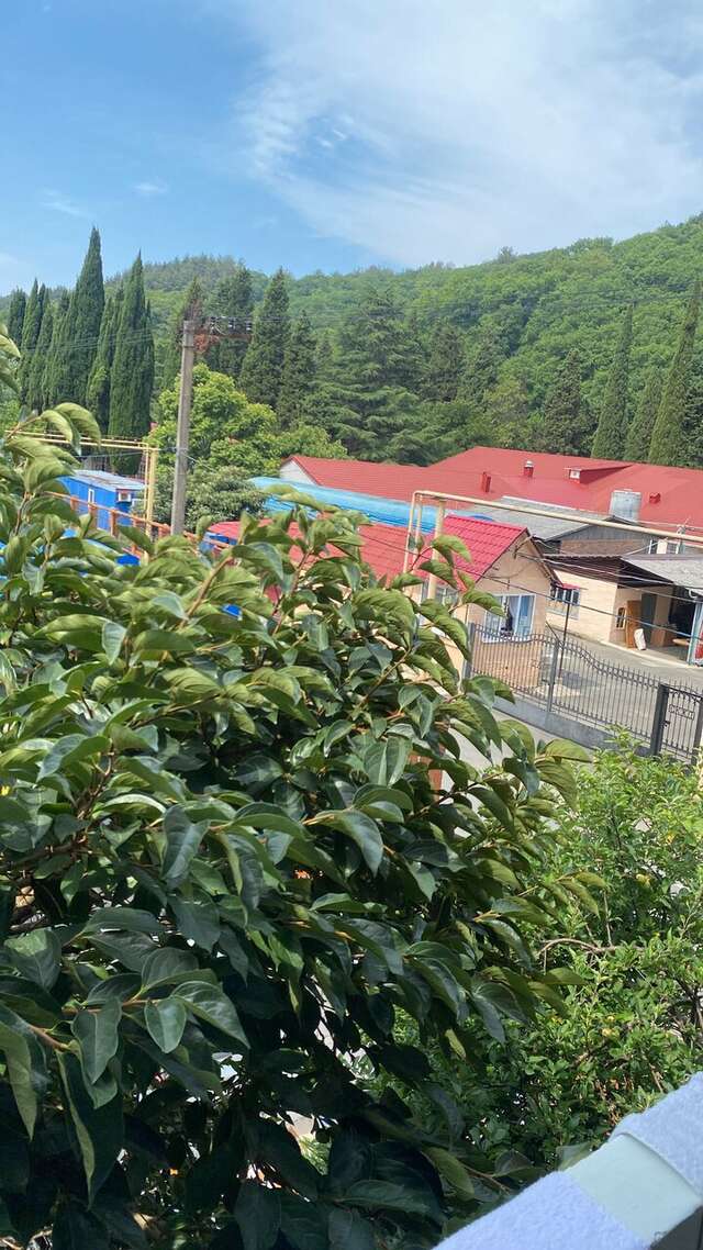 Гостиница Ношен Лазаревское-187