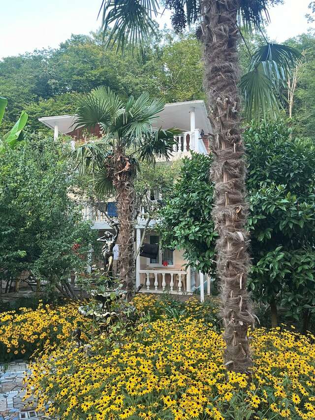 Гостиница Ношен Лазаревское-170